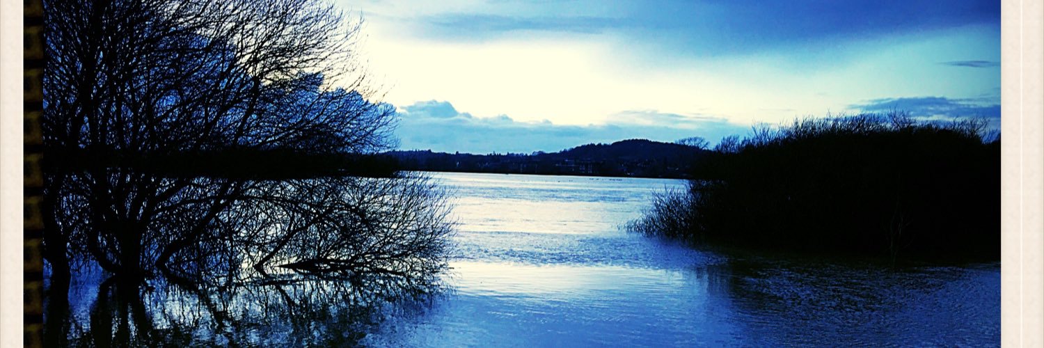 the_oddfellows's profile banner image