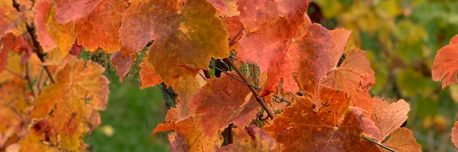 ffalker's profile banner image