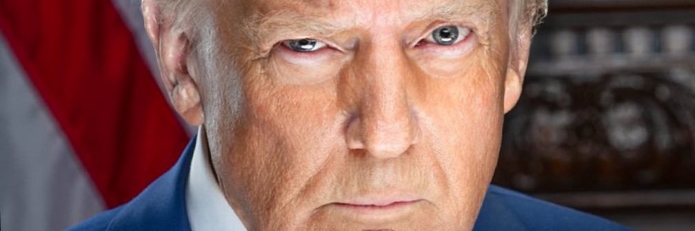 Conservative NY Mom 🇺🇸 banner