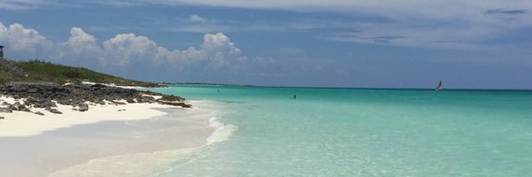 silvilf85 Profile Banner