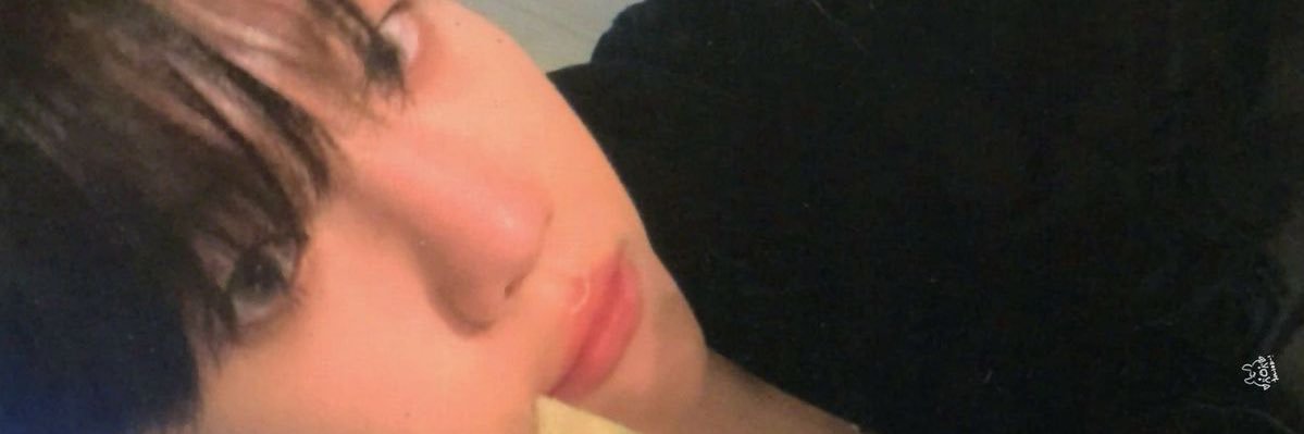 bearrkaii's profile banner image