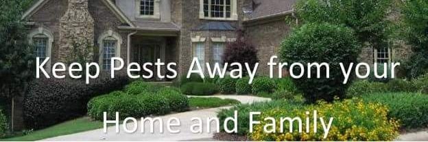 alwayswisepest's profile banner image