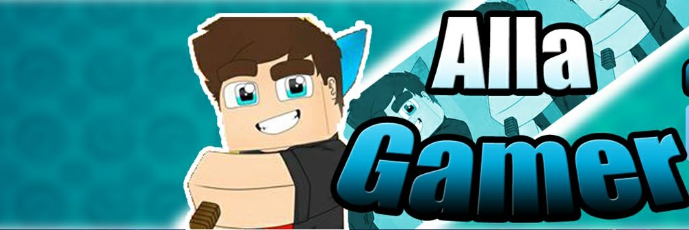 AllaGamePlayer's profile banner image