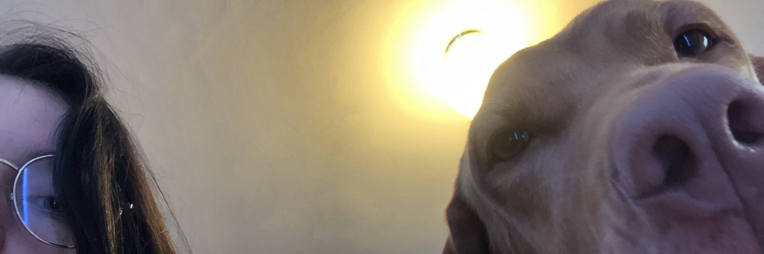 morgan_higbie's profile banner image
