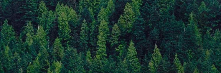 LewisCoop's profile banner image