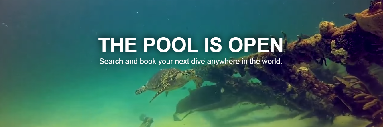 The Next Dive banner