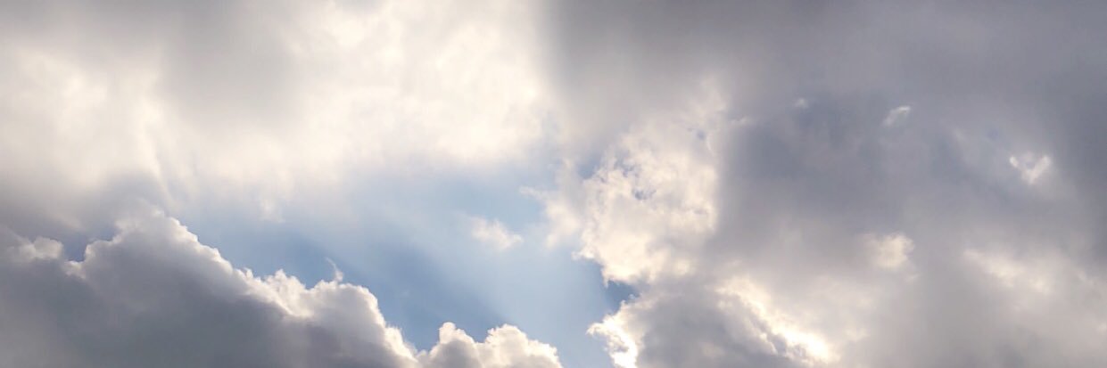 ashleyr_will's profile banner image