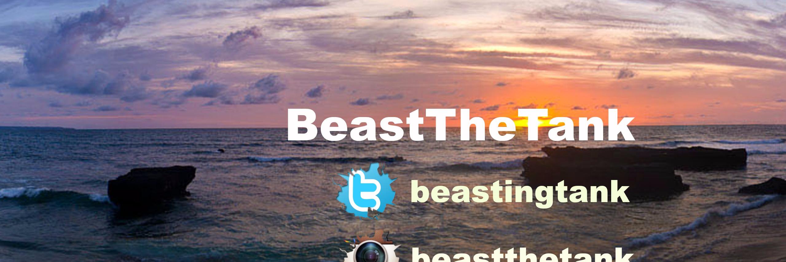 beastingtank's profile banner image