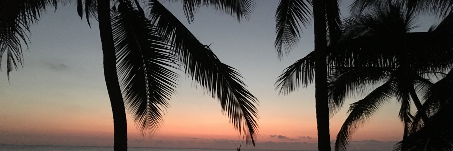 laurborrells's profile banner image