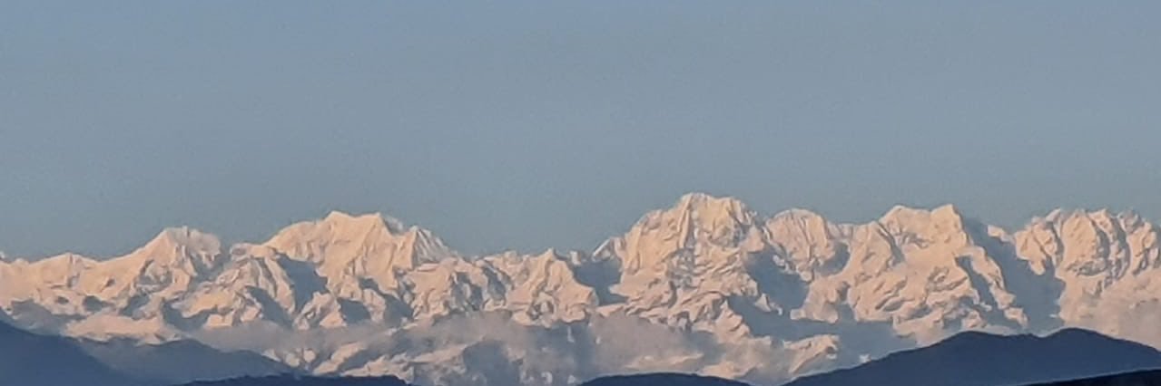 singhaniag's profile banner image