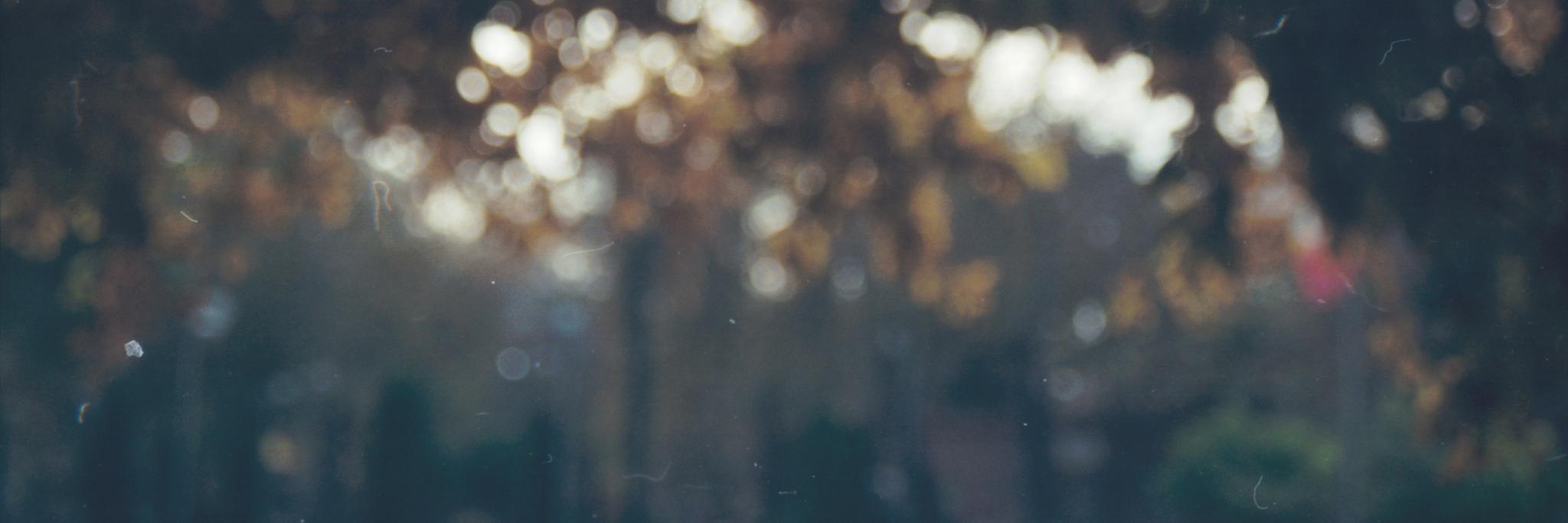 SergioAlmaraz01's profile banner image