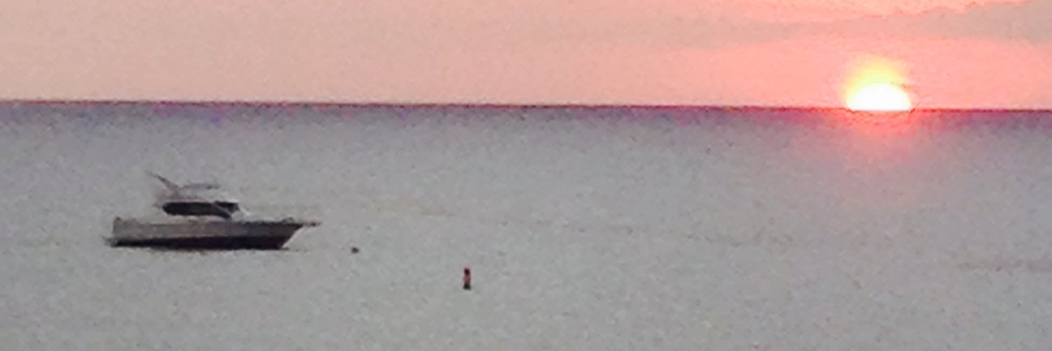 ElizabethCaples's profile banner image