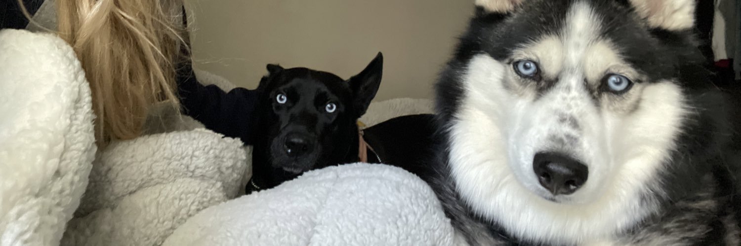 kayfreem's profile banner image