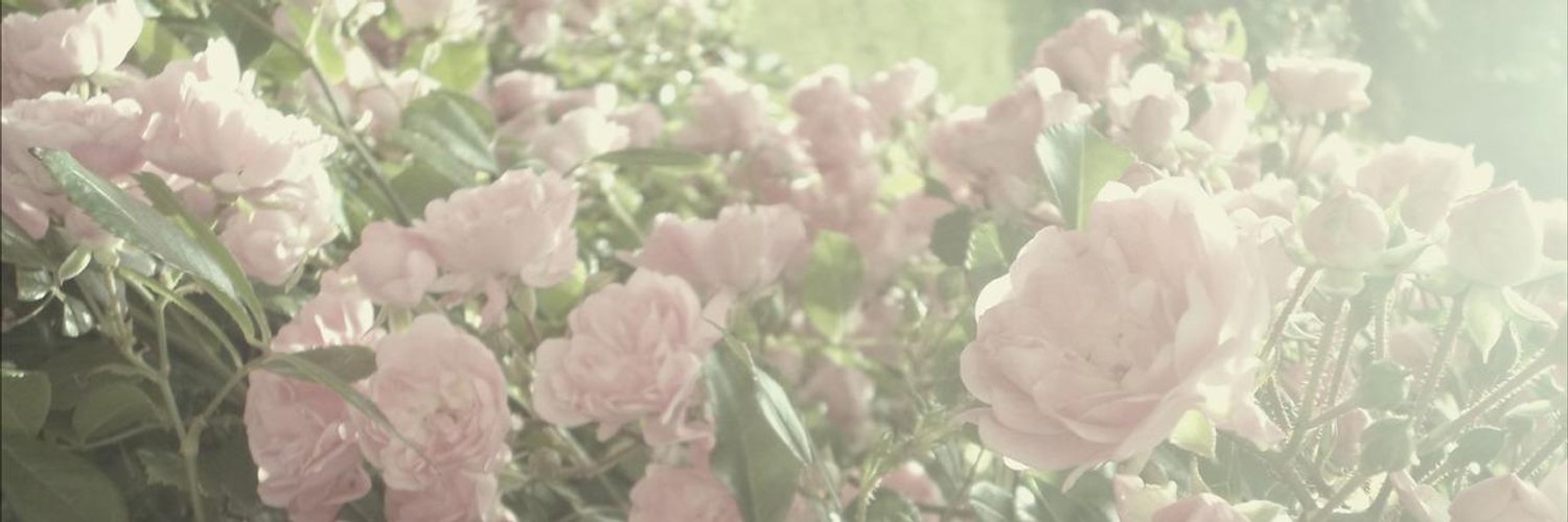 mal. banner