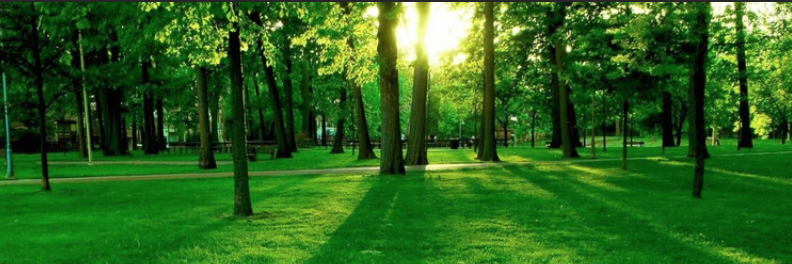 GreenParkContent banner