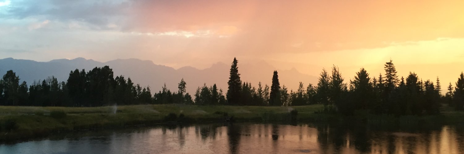 creepingcactus's profile banner image