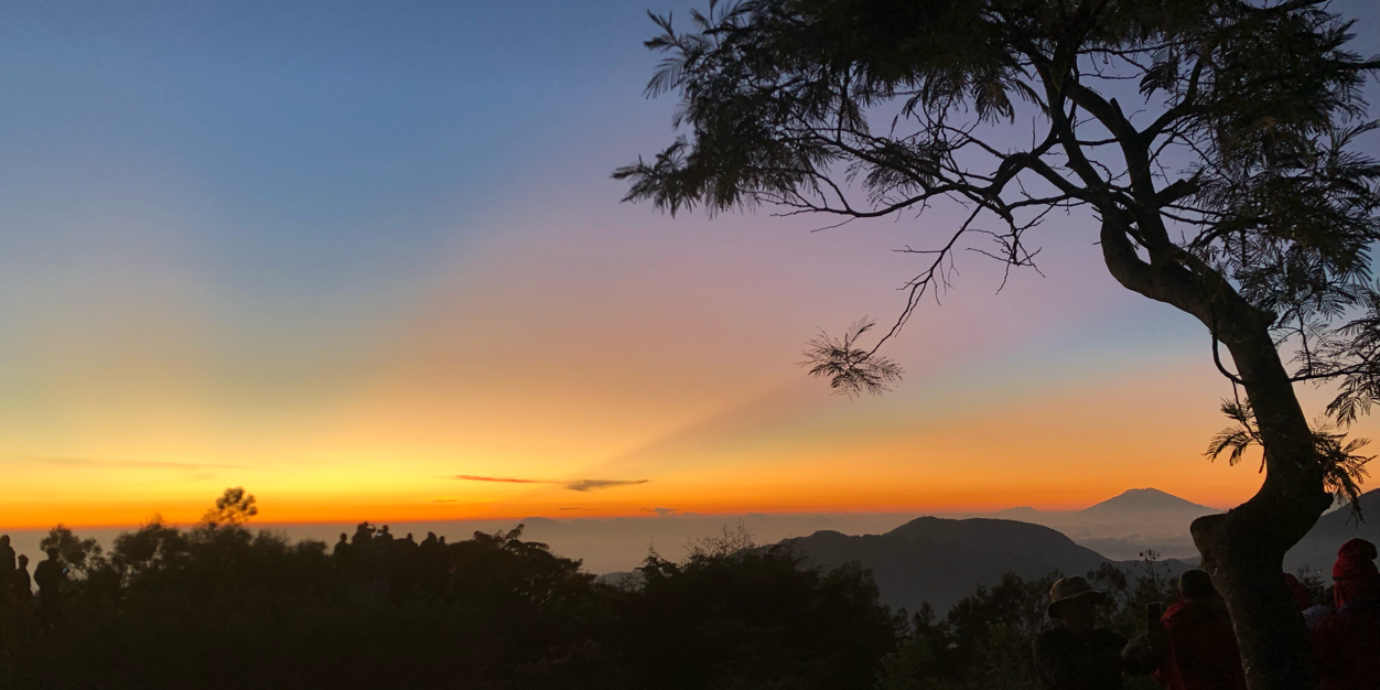 tariiitaroo's profile banner image
