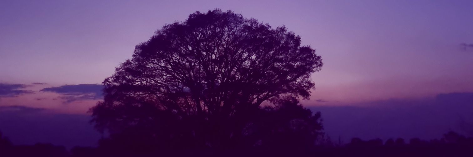 Buena persona banner