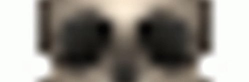 cuhmea's profile banner image