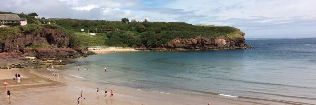 Eimear O'Toole banner