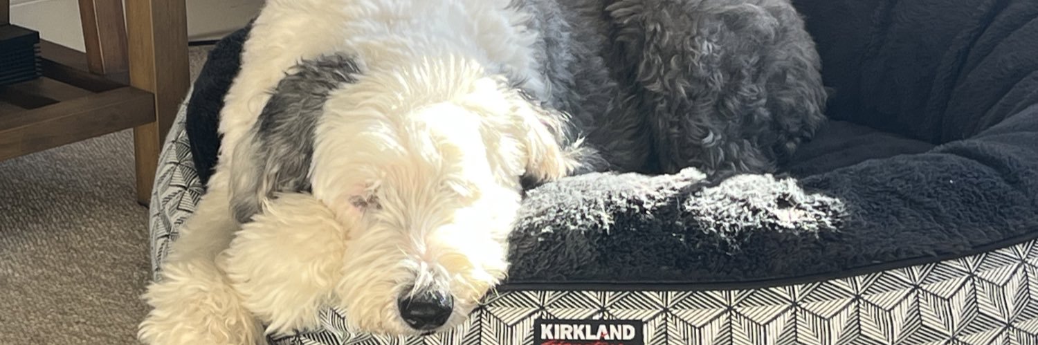 jennickes4's profile banner image