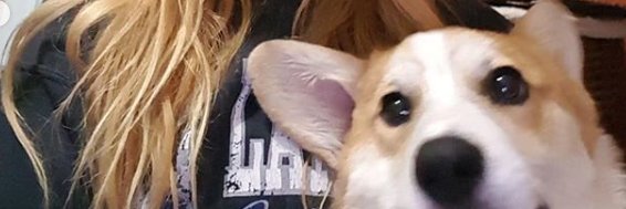 Marieharmsen's profile banner image
