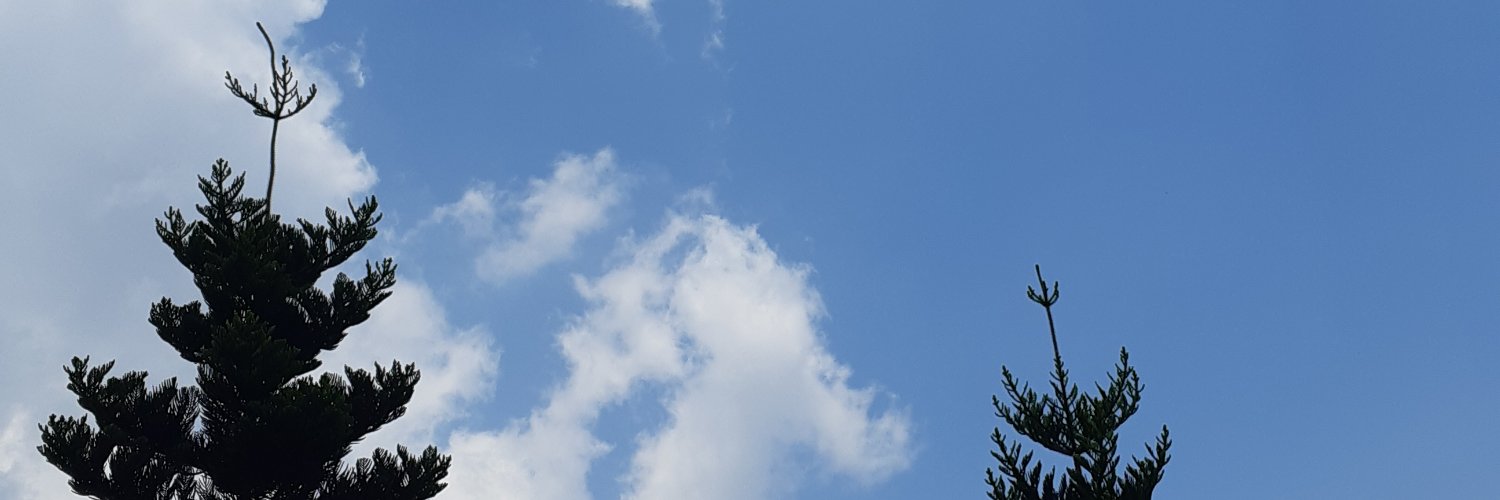 Herleniy's profile banner image