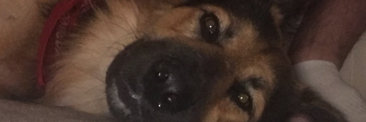 thenin401's profile banner image