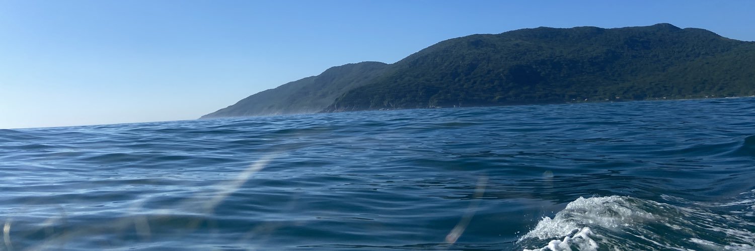 Nessasobr_'s profile banner image