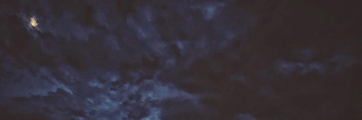 ceetlesib's profile banner image