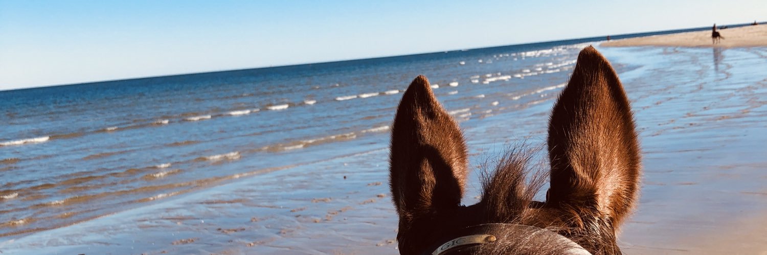 GiannaPiazza's profile banner image