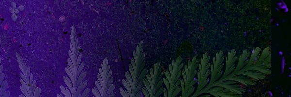 _ItsLucasWorld Profile Banner