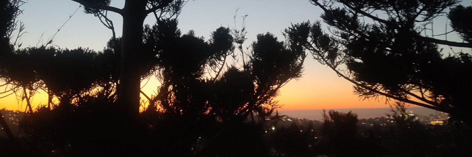 quiniolisa's profile banner image