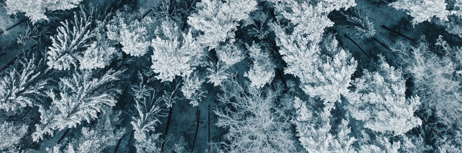 Ale_Pedersen's profile banner image