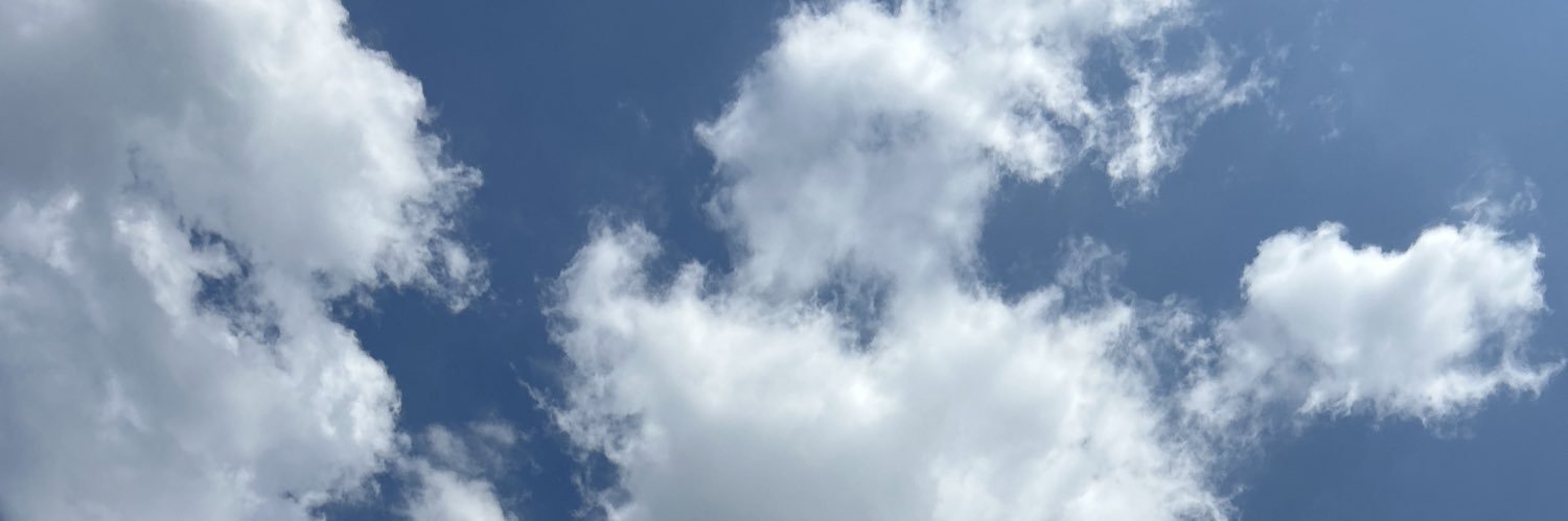 t banner