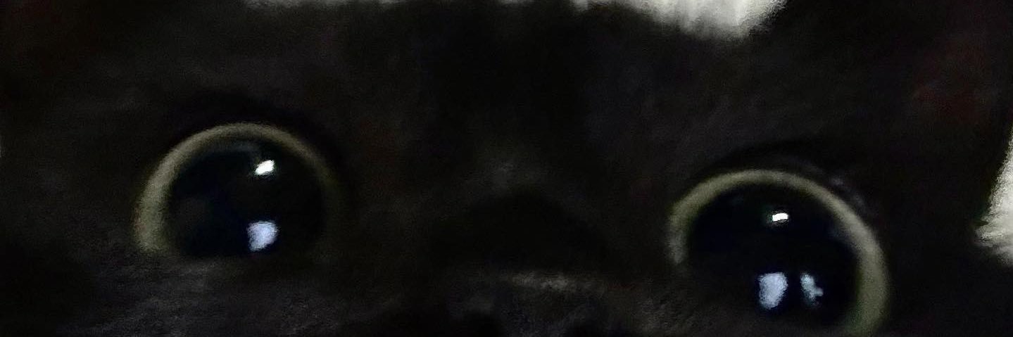 ahamnm's profile banner image
