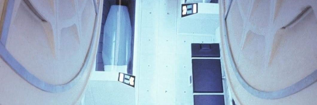 Danielle She's Here banner