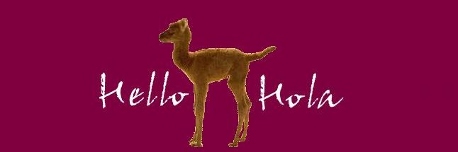 HumplessCamel's profile banner image