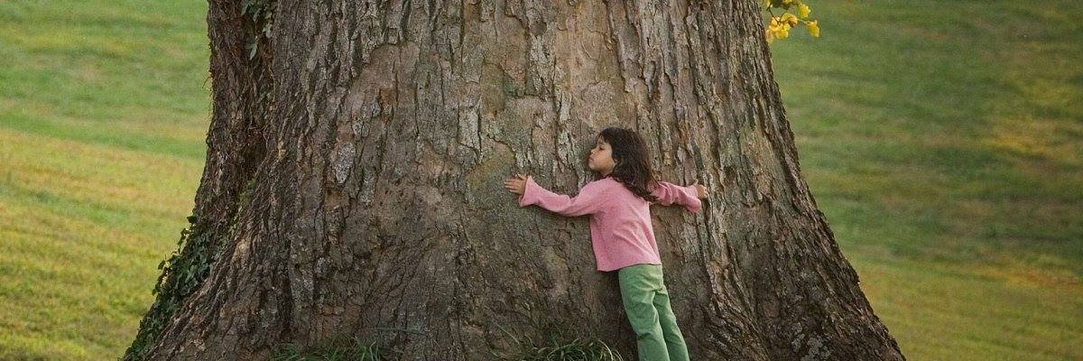 MyPoorNerves__'s profile banner image