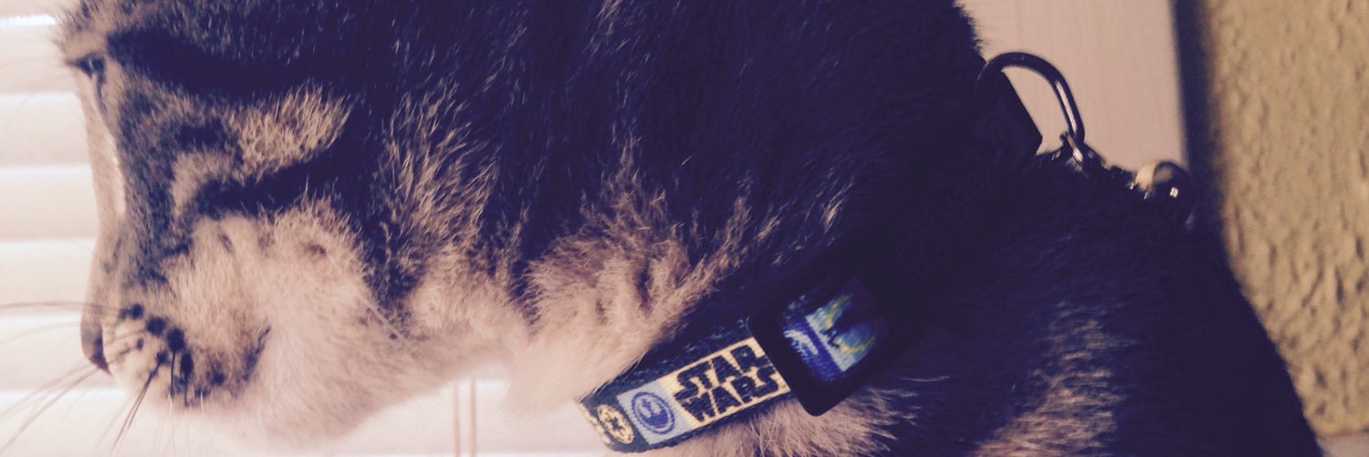 CJJinx25's profile banner image