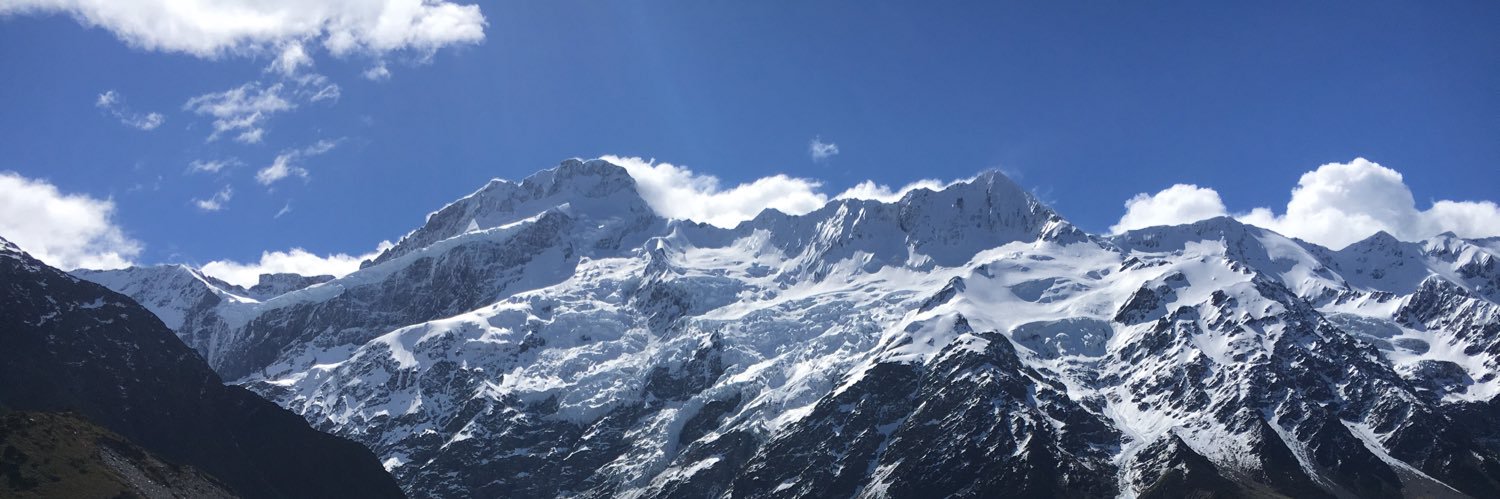 bearyerr's profile banner image