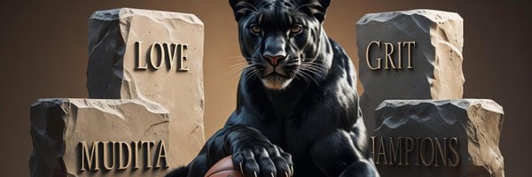 KOLadyHoops Profile Banner