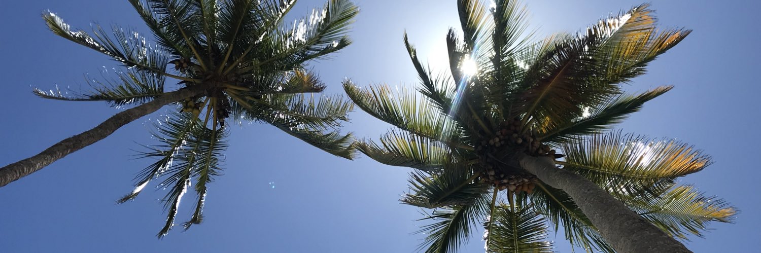 Adriano, no ócio banner