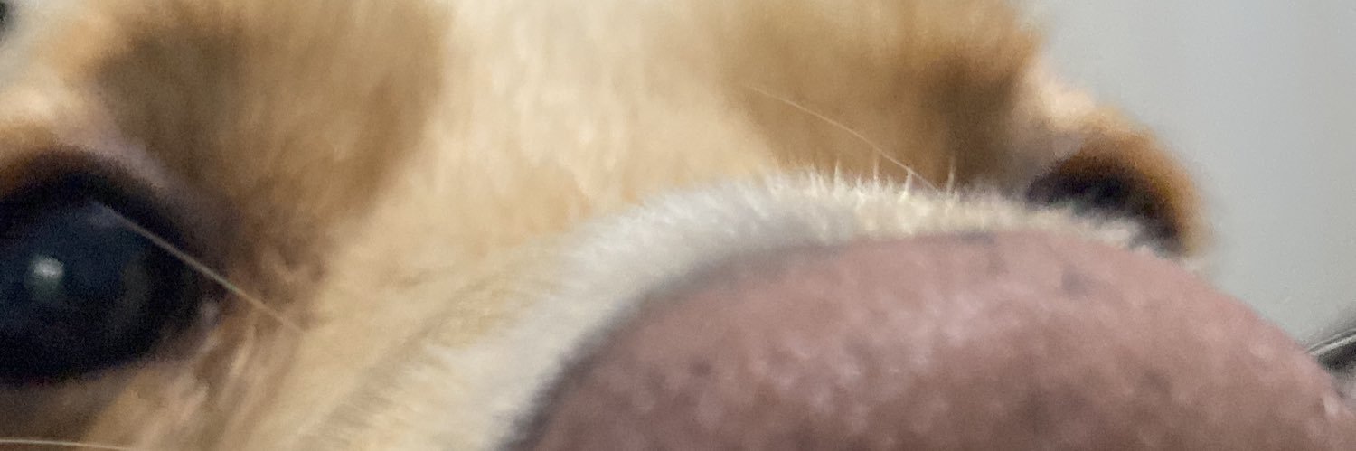 reileputi's profile banner image