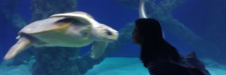 shlongggg's profile banner image
