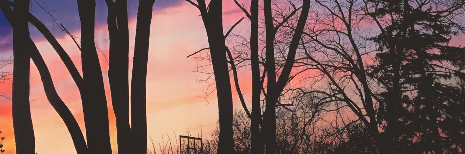 DillanLeclair's profile banner image