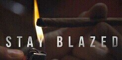 highgrade_trees's profile banner image