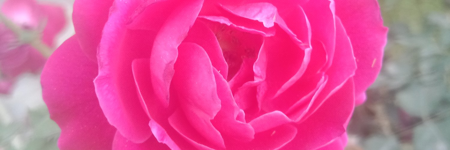 ShafAbid's profile banner image
