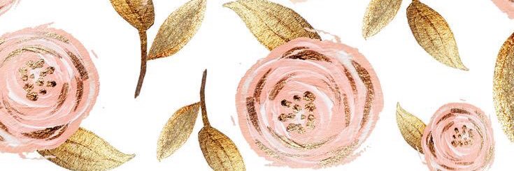 shaeby96's profile banner image