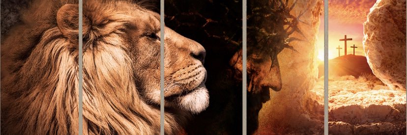 thetierry's profile banner image